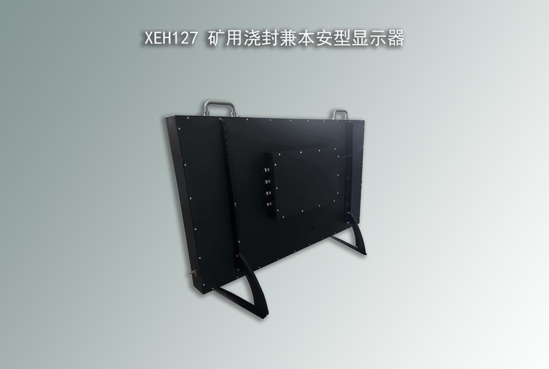 XEH127 浇封兼本安型显示器,防爆显示器,本安显示器